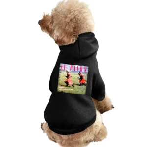 Au Pairs Playing With A Different Sex Album Cover Distressed Image T S Pet Apparel Clothes
