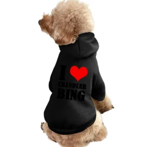 I Heart Love Chandler Bing Fun Friends Popular TV Show Pet Apparel Clothes