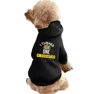 I Turned One In Quarantine Baby Pet Apparel Clothes