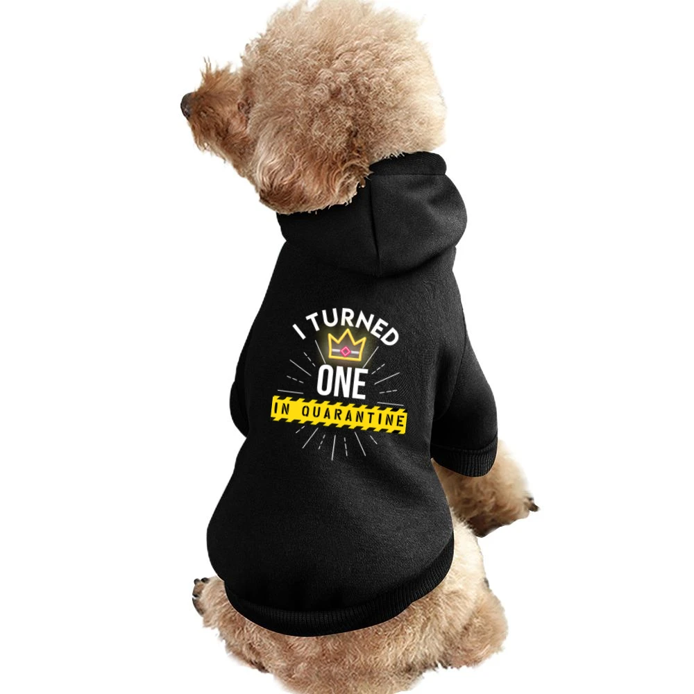I Turned One In Quarantine Baby Pet Apparel Clothes