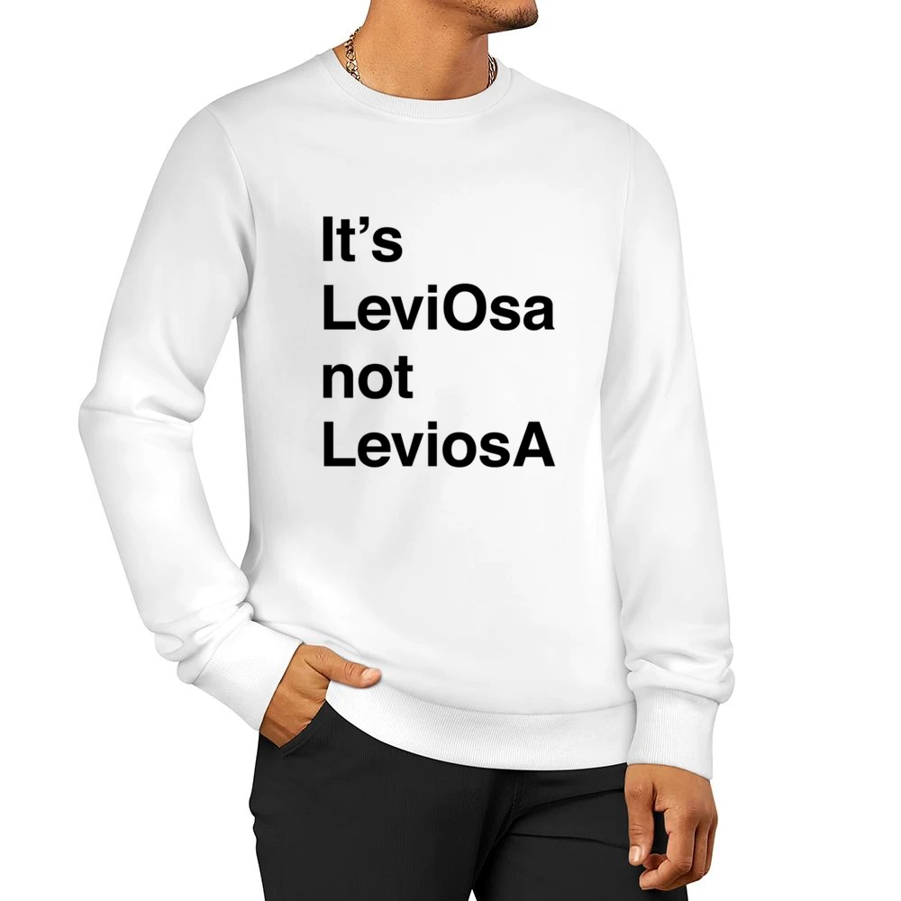 Its LeviOsa Not LeviosA Funny Harry Potter Popular Book Novel Movie Qu Men Pullover Sweatshirt
